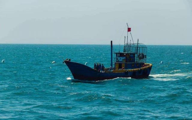 山東出發(fā)河北滄州2日游：0317火鍋雞-南大港濕地-黃驊打魚舌尖上的誘惑休閑2日自駕游